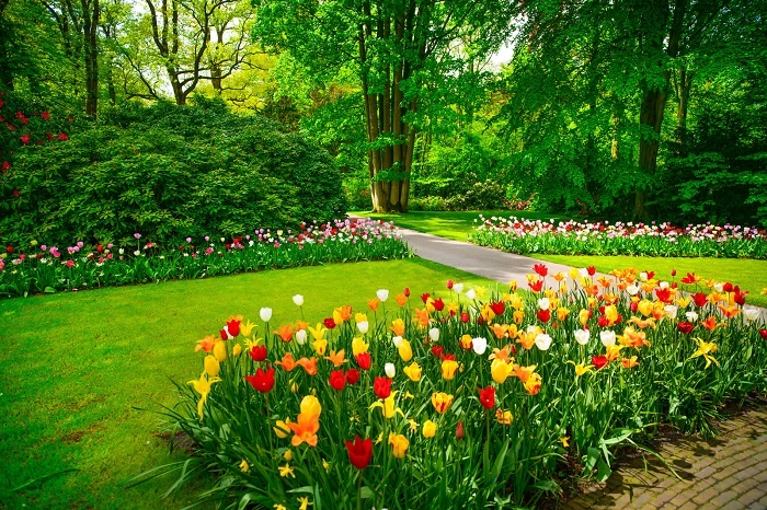 Horticulture-Bags-Image-2-Cropped.jpg Horticulture-Bags-Image-2-Cropped.jpg