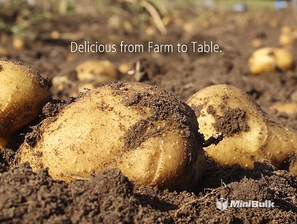 farm-potatoes.jpg