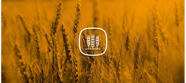 MiniBulk: Bulk Bags & Leading Packaging Solutions