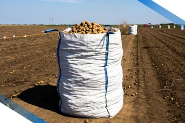 Agriculture bulk bag in a potato field.
